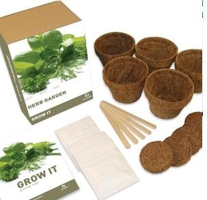 Childrens Toyshop  Outdoor Living : 5 Herb Plants Grow It Kit