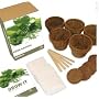 Grow It Herb Garden - Grow your own herbs kit