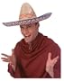 Embroidered Straw Sombrero