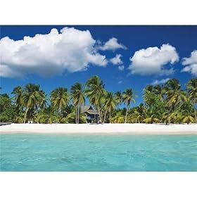 Tropical Seaside