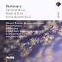 Cantus Arcticus/Angel of