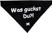 Sprüche-Tuch mit Klettband für das Halsband No1 - Halstuch Was guckst Du - Gr.1 - Dogs Stars - Halstuch für Hunde