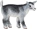 Safari Farm Pygmy Kid Goat