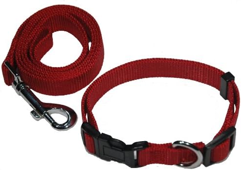 Zone 70 Dog Collar and Leash Set, Wine (Large)