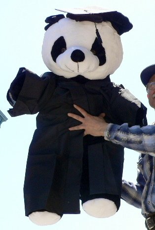 JUMBO 3-FEET-TALL GRADUATION PANDA BEAR – WEARING REAL GRADUATION CAP AND GOWN – GIANT LARGE BIG PLUSH STUFFED ANIMAL TOY – CAP AND GOWN IMPORTED AND PANDA IS AMERICAN MADE IN THE USA AMERICA