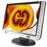 19-inch Wide LCD Monitor