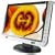 19-inch Wide LCD Monitor
