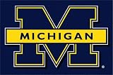 Michigan Wolverines 20x30 Acrylic Tufted Rug