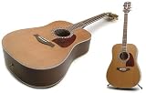 Acoustic Guitar: Solid Cedar Top Dreadnought Acoustic with Grover Machineheads