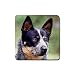 Australian Cattle Dog Rubber Square Coaster (4 pack)
