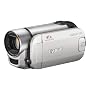 Canon LEGRIA FS 306 DVC-Camcorder (SDHC-Slot, 41-fach Advanced Zoom, 6,7 cm (2,7 Zoll) Widescreen Display) silber