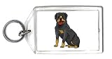Keychain with dog, vicious, rottweiler, pet