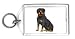 Keychain with dog, vicious, rottweiler, pet