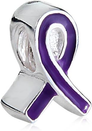 Hoobeads Breast Cancer Awareness Ribbon Charm with Screw 925 Sterling Silver Bead Fits Pandora Chamilia Biagi Troll Beads Europen Style Bracelets (Purple Enamel Beads)