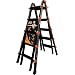 Little Giant 10103BP PRO Series 300-Pound Duty Rating Multi-Use Ladder, 22-Foot