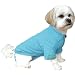 SHIRT PREPPY POLO DD TURQUOISE XXS