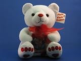 Photo Teddy Bear with Pocket to Slip Your Favorite Photo Inside
