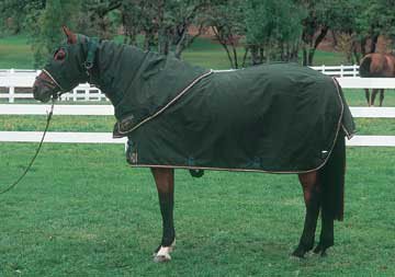 Kensington Roustabout Full Hood