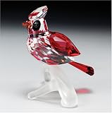 CRYSTAL WORLD Cardinal