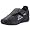 schwarz (newblack1111)