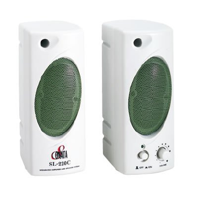 Bolide BL1288 Computer Speaker Wireless Video Hidden Camera. B/W