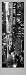 47Th Street Evening by Jim Alinder. Size 12.59 inches width by 36.30 inches height. High Quality Art Poster Print