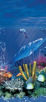 Antilles Dolphin Overlap Swimming Pool Liner - 27 ft. Round, 20 Gauge