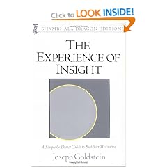 The Experience of Insight: Simple and Direct Guide to Buddhist Meditation (Shambala dragon editions)