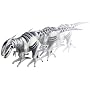 WowWee Roboraptor Robotic Dinosaur