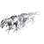Roboraptor