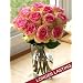 One Dozen Crown Majesty Roses