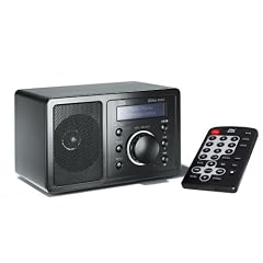 IPdio mini Internetradio schwarz