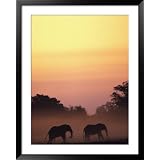 African Elephant Taking a Dust Bath at Sunset National Geographic Collection Framed Art... by 