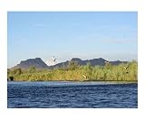 Morning River Scenic Photographic Poster Print by Valerie D'Amico, 10x8
