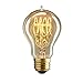 ANYQOO Edison Light Bulb Squirrel cage Filament Bulb Antique Lighting base (E26/E27) 40W
