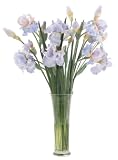 FAB Flowers French Blue Bearded Iris in a Tall Drink of Water, 28 Inches Length x 33 Inches High