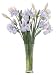 FAB Flowers French Blue Bearded Iris in a Tall Drink of Water, 28 Inches Length x 33 Inches High