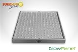 GlowPanel 14 Watt LED Growing Light Panel-Plant Grow Light Rivals 60 Watt Metal Halide/HPS Full Spectrum Growth Lite