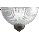 Progress Lighting P7126-20 Wall Sconce with Etched-Glass Cone, Antique Bronze