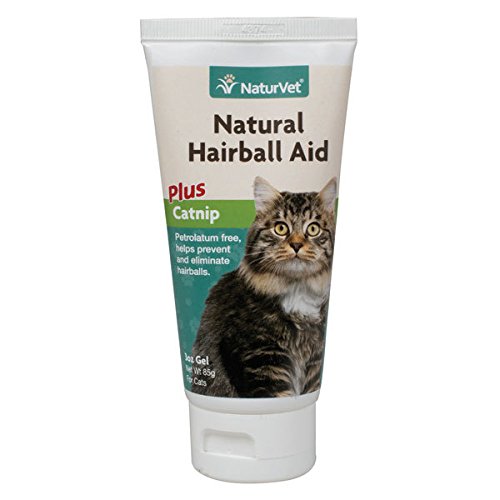 Natural Hairball Remedy with Catnip The Cat Problems