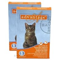 12 MONTH Advantage Orange for cats under 9lbs