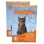 12 MONTH Advantage Orange for cats under 9lbs