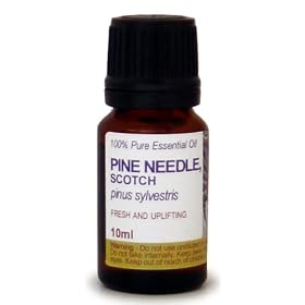 10ml Scotch Pine Essential Oil