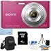 Sony Cyber-shot DSC-W610 DSCW610 W610 14.1 MP Digital Camera with 4x Optical Zoom and 2.7-Inch LCD (Pink) with Sony 4GB Card, Digpro Case, Tabletop tripod, LCD Screen Protectors, Lens Cleaner+ More!