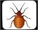 Mouse Pad with bug, invertebrate, insect, pest, vagglus, animal, arthropod, bed, blood-sucker, bedbug