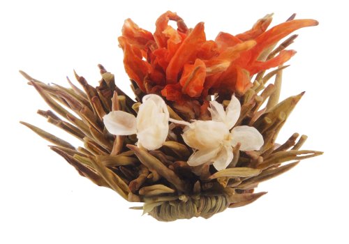 Primula 12-Pack Flowering White Tea with Peppermint
