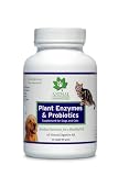Animal Essentials Plant Enzymes & Probiotics (100 Grams)