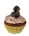 Dachshund PupCake Dog Trinket Box - Wire Haired