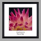 IMAGE OF SET of 6 - 14x14 Square Black Wood Picture Frames and Glass with Single White Mats for 10x10.