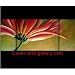 Abstract Art Flower Painting Sunflower Oil Painting 68